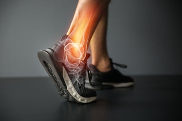 a rendering that shows the ankle and foot anatomy of a person wearing running shoes